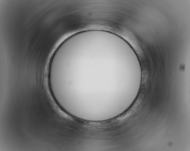 X0000103321094200809050953
