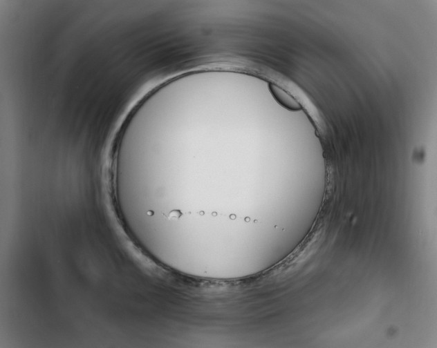 X0000103321099200809050953