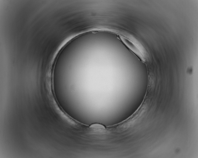 X0000103321100200809050953