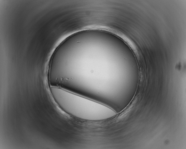 X0000103321102200809050953