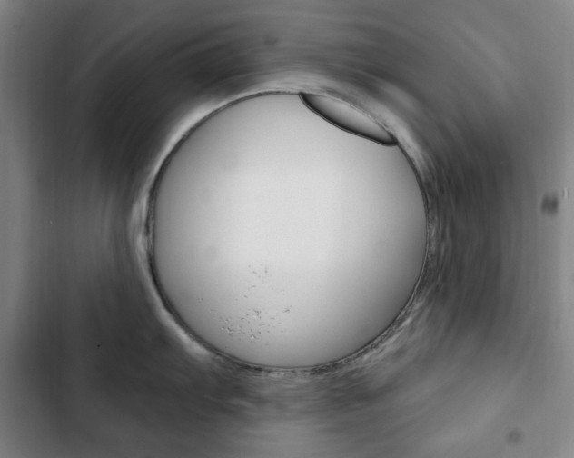 X0000103321103200809050953