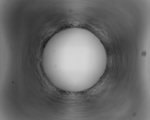 X0000103321105200809050953