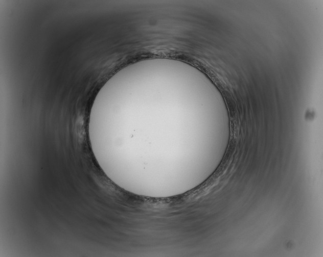 X0000103321106200809050953