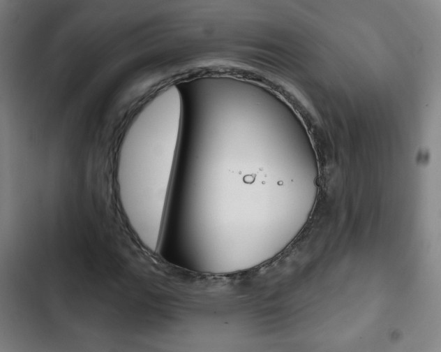 X0000103321111200809050953