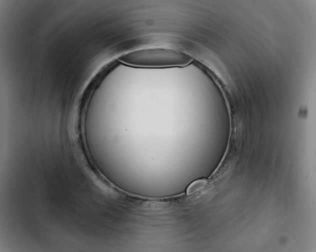 X0000103321116200809050953