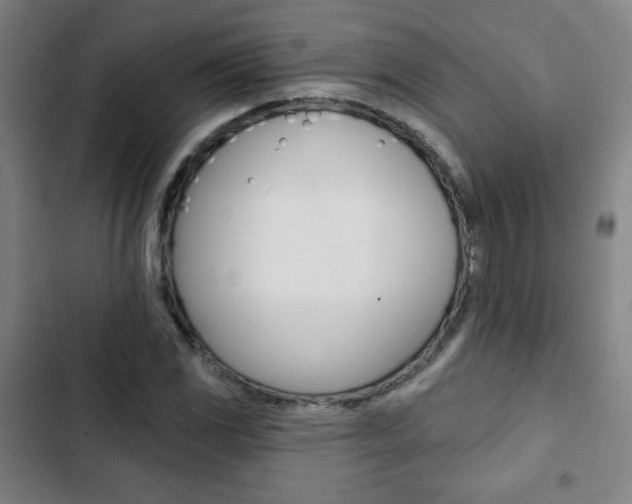 X0000103321117200809050953