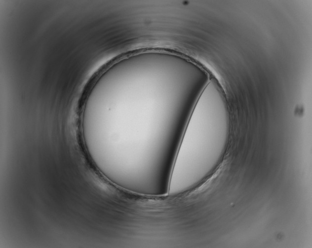 X0000103321119200809050953