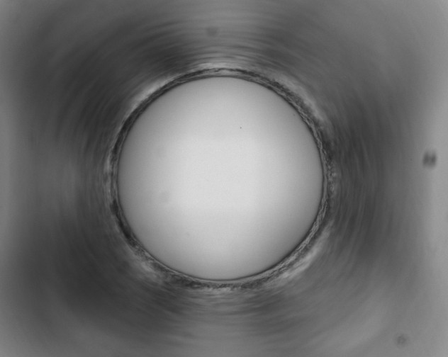 X0000103321121200809050953