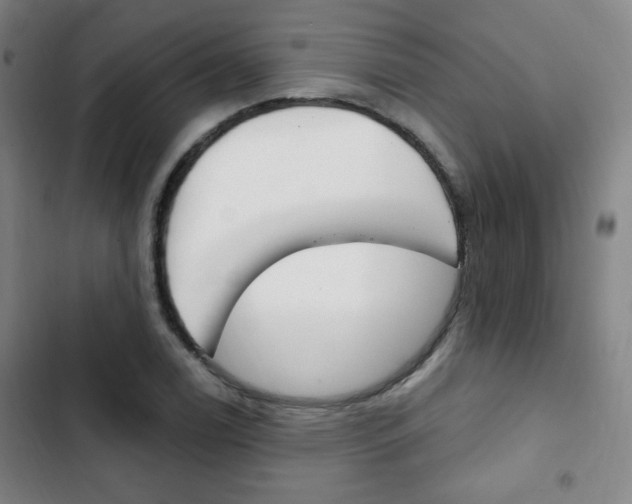 X0000103321122200809050953