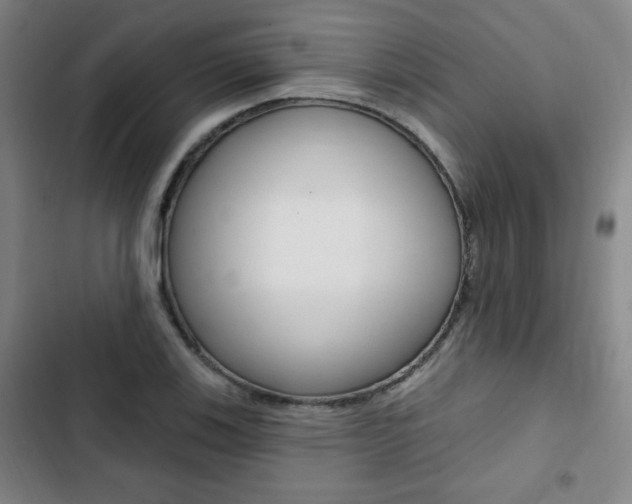 X0000103321123200809050953