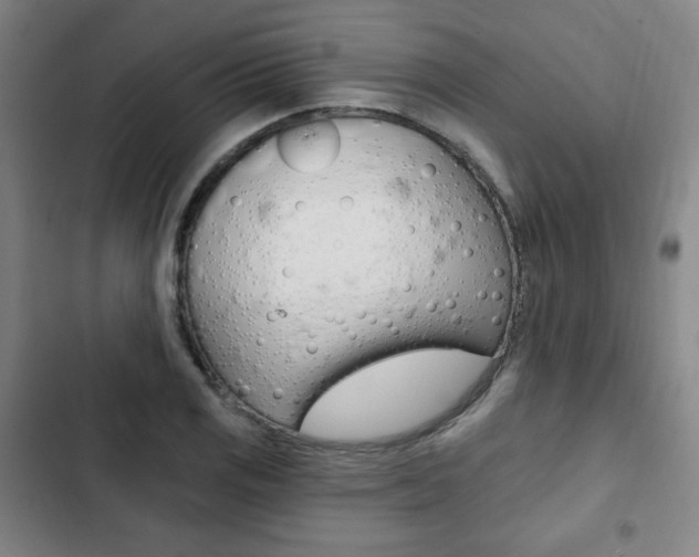 X0000103321125200809050953