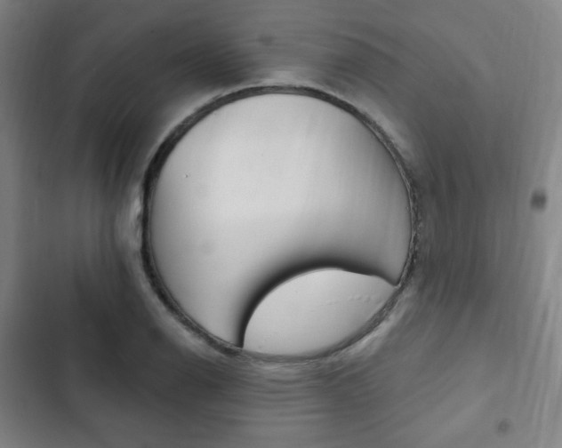 X0000103321126200809050953
