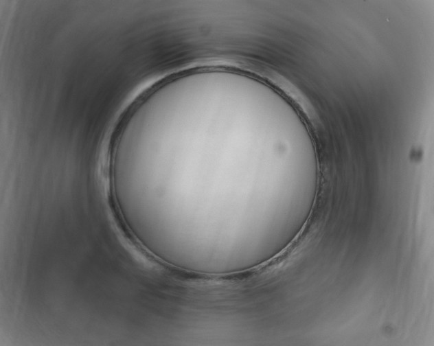X0000103321127200809050953