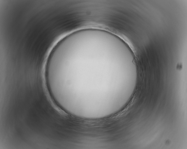 X0000103321128200809050953