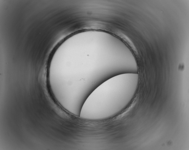 X0000103321130200809050953