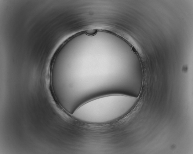 X0000103321132200809050953