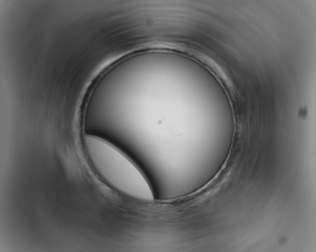 X0000103321133200809050953