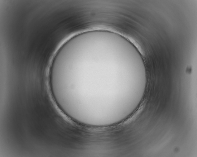 X0000103321134200809050953