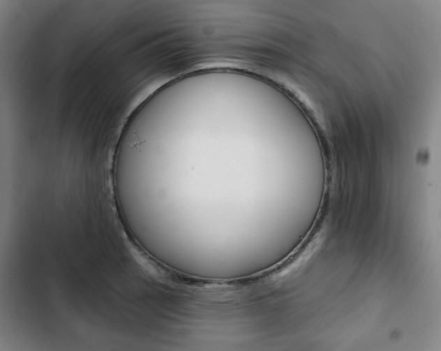 X0000103321137200809050953