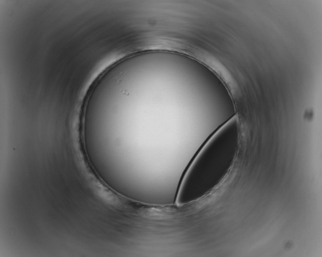 X0000103321138200809050953