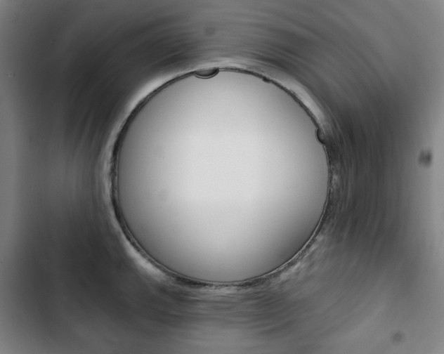 X0000103321143200809050953
