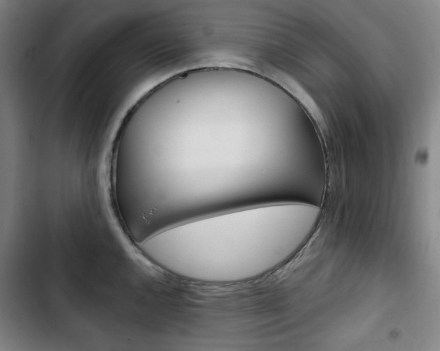 X0000103321144200809050953