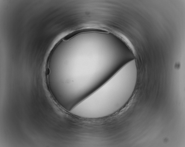 X0000103321146200809050953