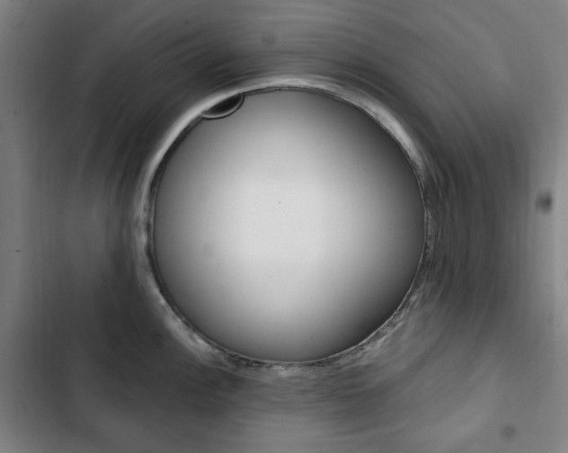 X0000103321148200809050953