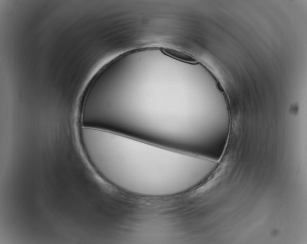 X0000103321149200809050953