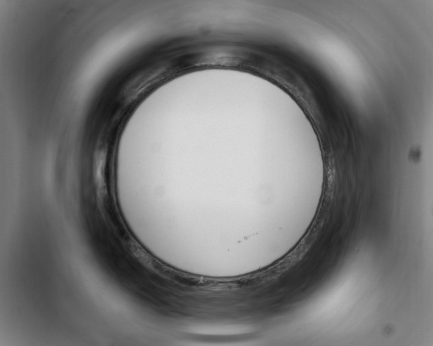 X0000103321150200809050953