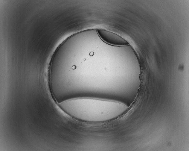 X0000103321151200809050953