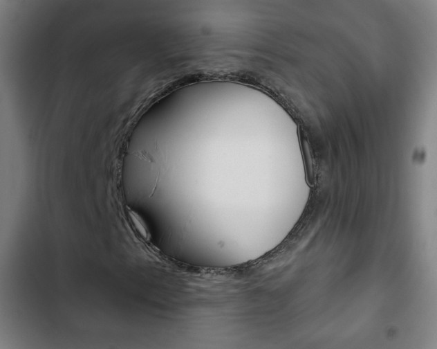 X0000103321153200809050953