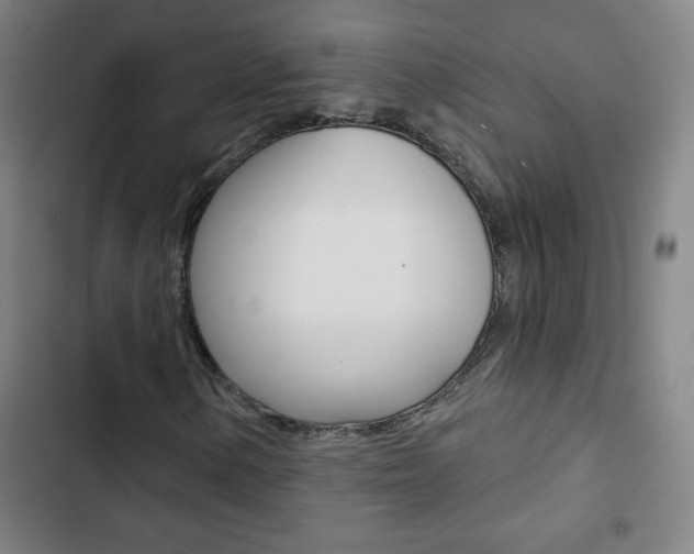 X0000103321154200809050953