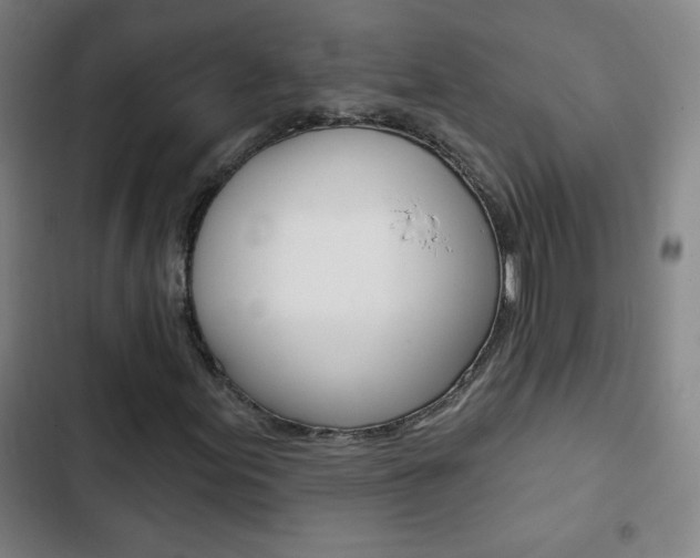 X0000103321155200809050953
