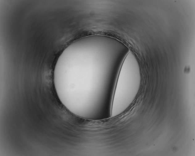 X0000103321156200809050953