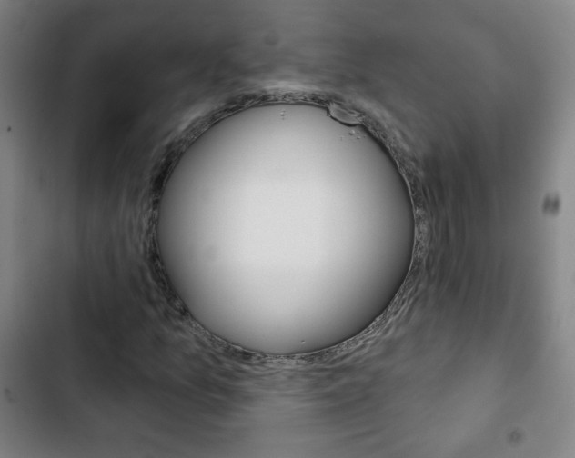 X0000103321157200809050953