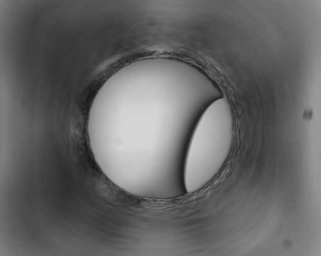 X0000103321158200809050953