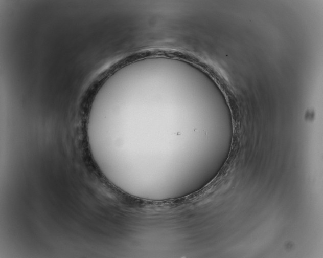 X0000103321159200809050953