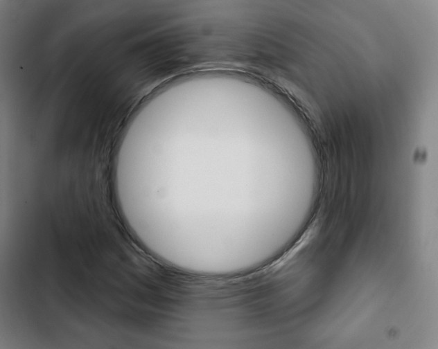 X0000103321161200809050953