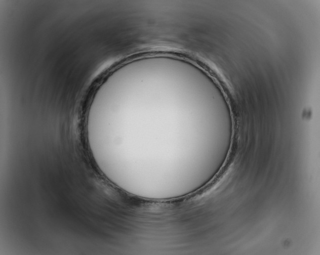 X0000103321163200809050953