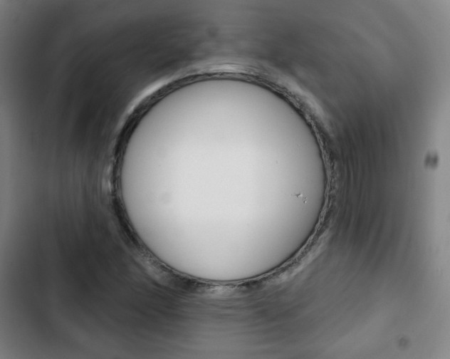 X0000103321166200809050952