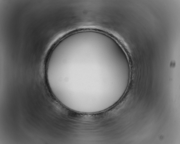 X0000103321167200809050952