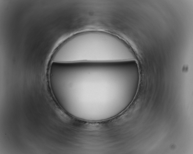 X0000103321168200809050952