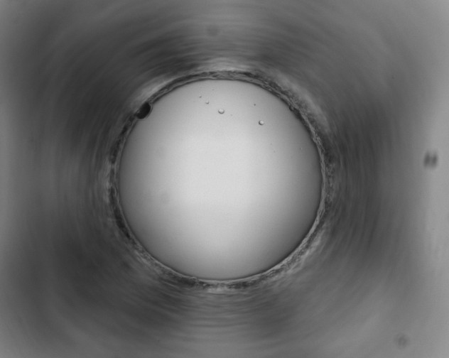 X0000103321169200809050952