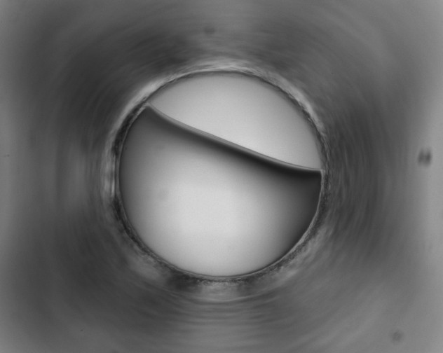 X0000103321171200809050952