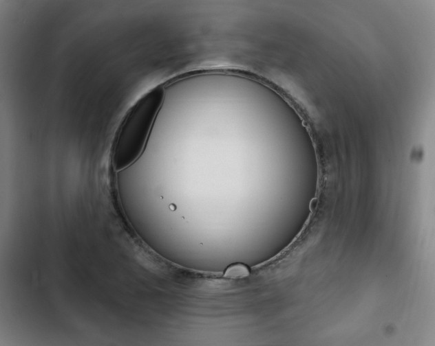 X0000103321173200809050952