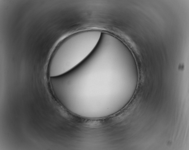 X0000103321174200809050952