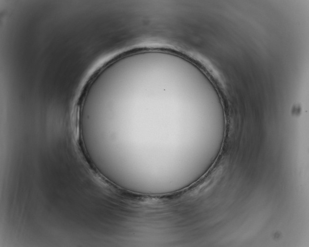 X0000103321175200809050952