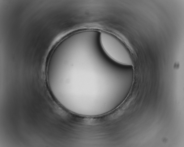 X0000103321176200809050952