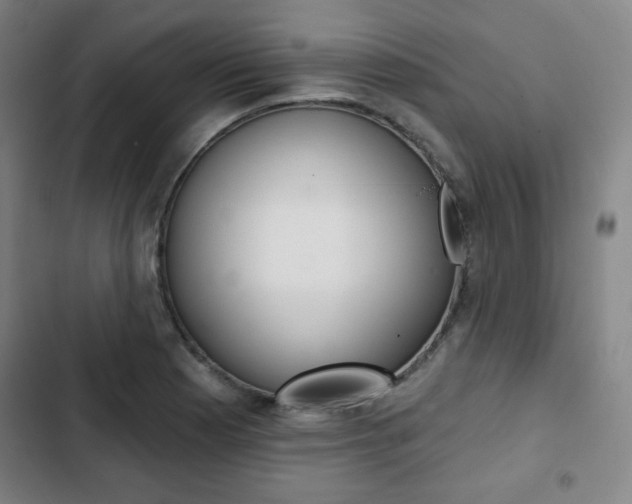 X0000103321177200809050952